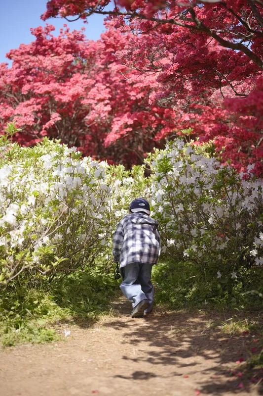 완산칠봉꽃동산