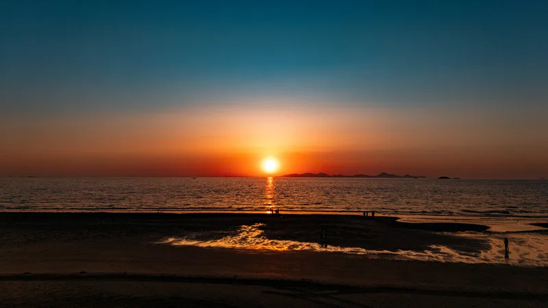 동호해수욕장
