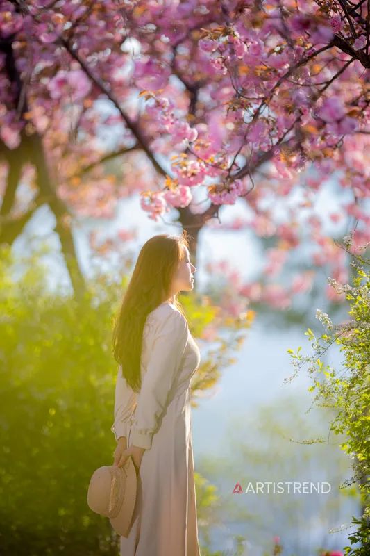 완산칠봉꽃동산