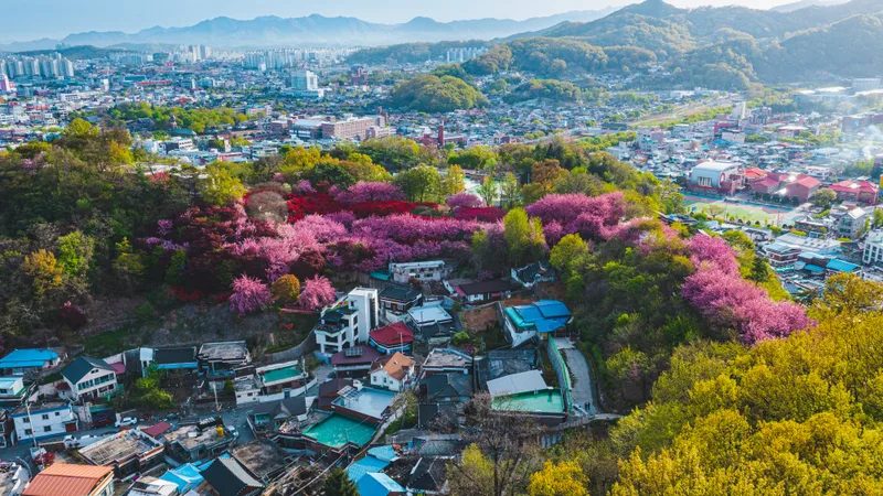 완산칠봉꽃동산