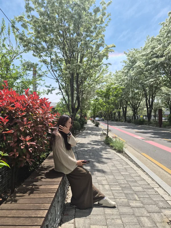 팔복동 이팝나무 철길