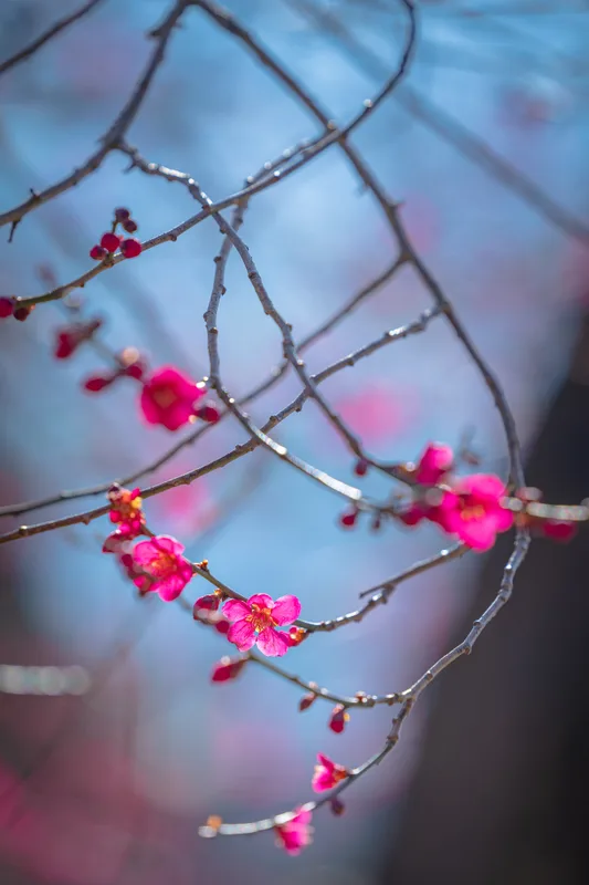 화엄사