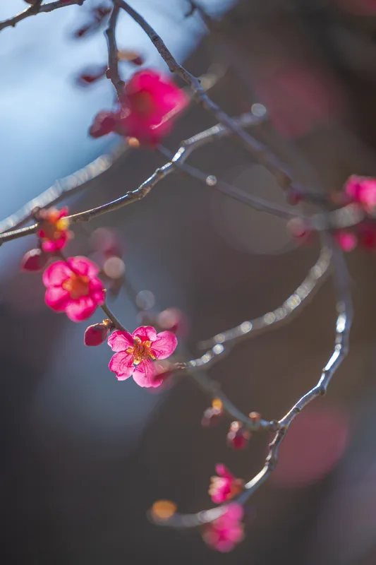 화엄사